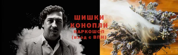 ГАЛЛЮЦИНОГЕННЫЕ ГРИБЫ Алзамай