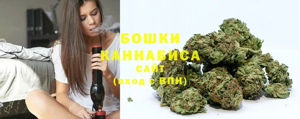 ГАЛЛЮЦИНОГЕННЫЕ ГРИБЫ Алзамай